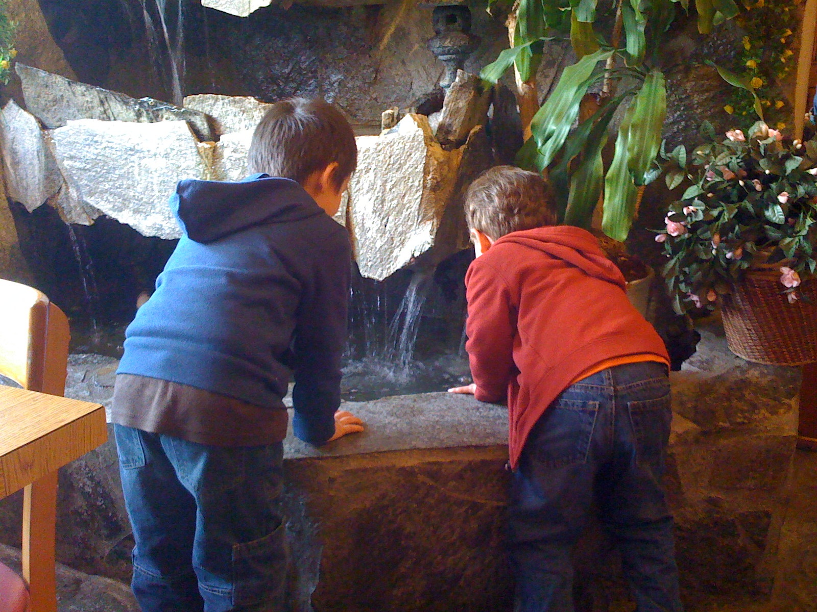 throwing coins into the fountain.