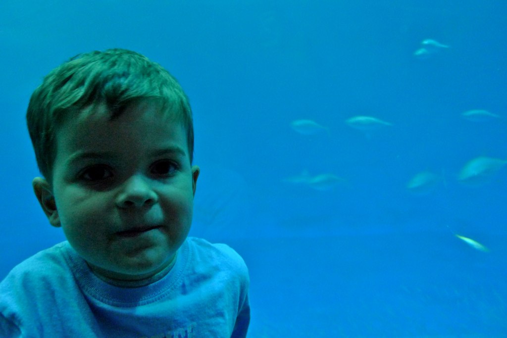 The Deep
