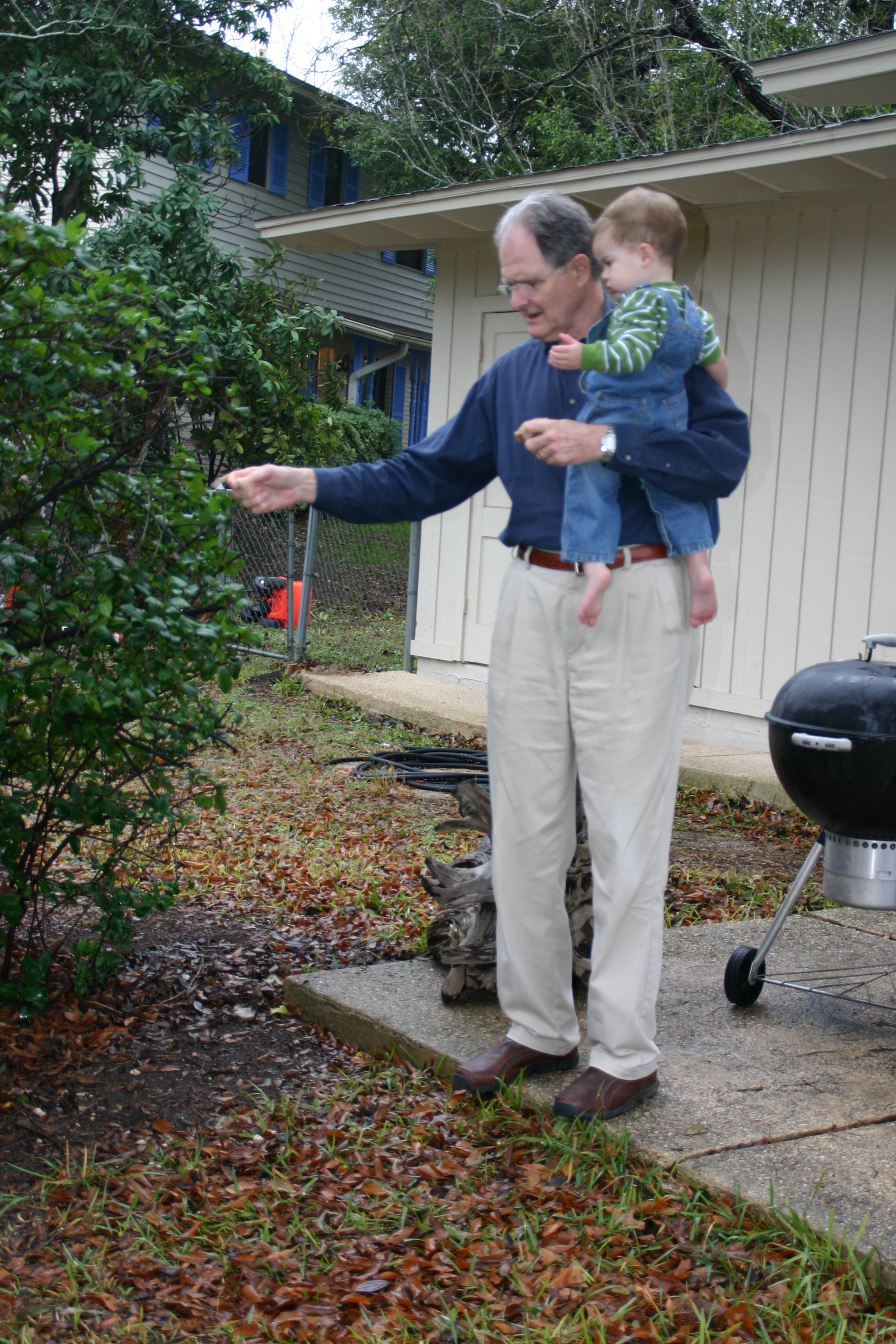 Feeding the birds: