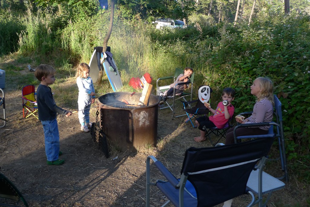roasting hotdogs and marshmellows.