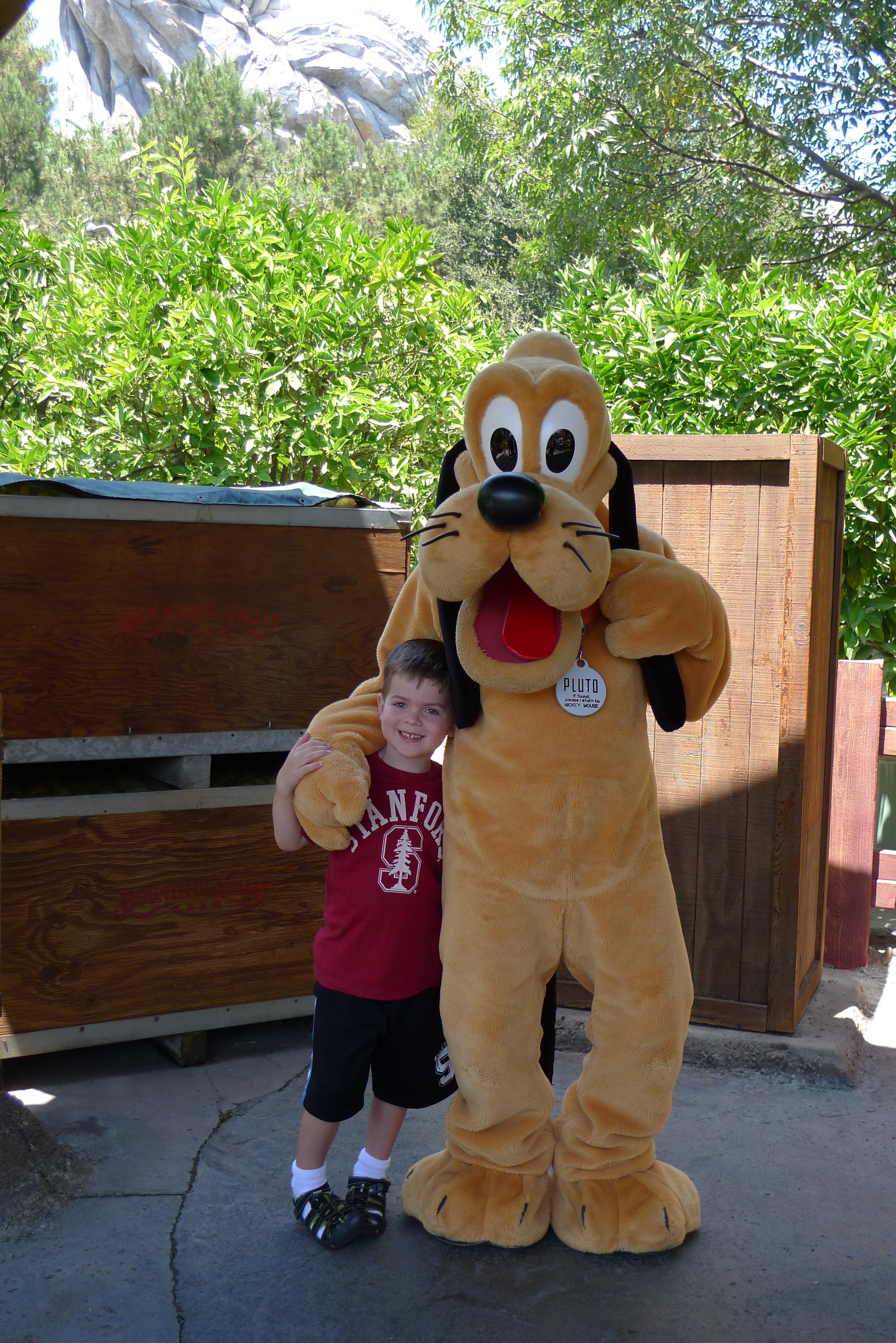 Pluto,