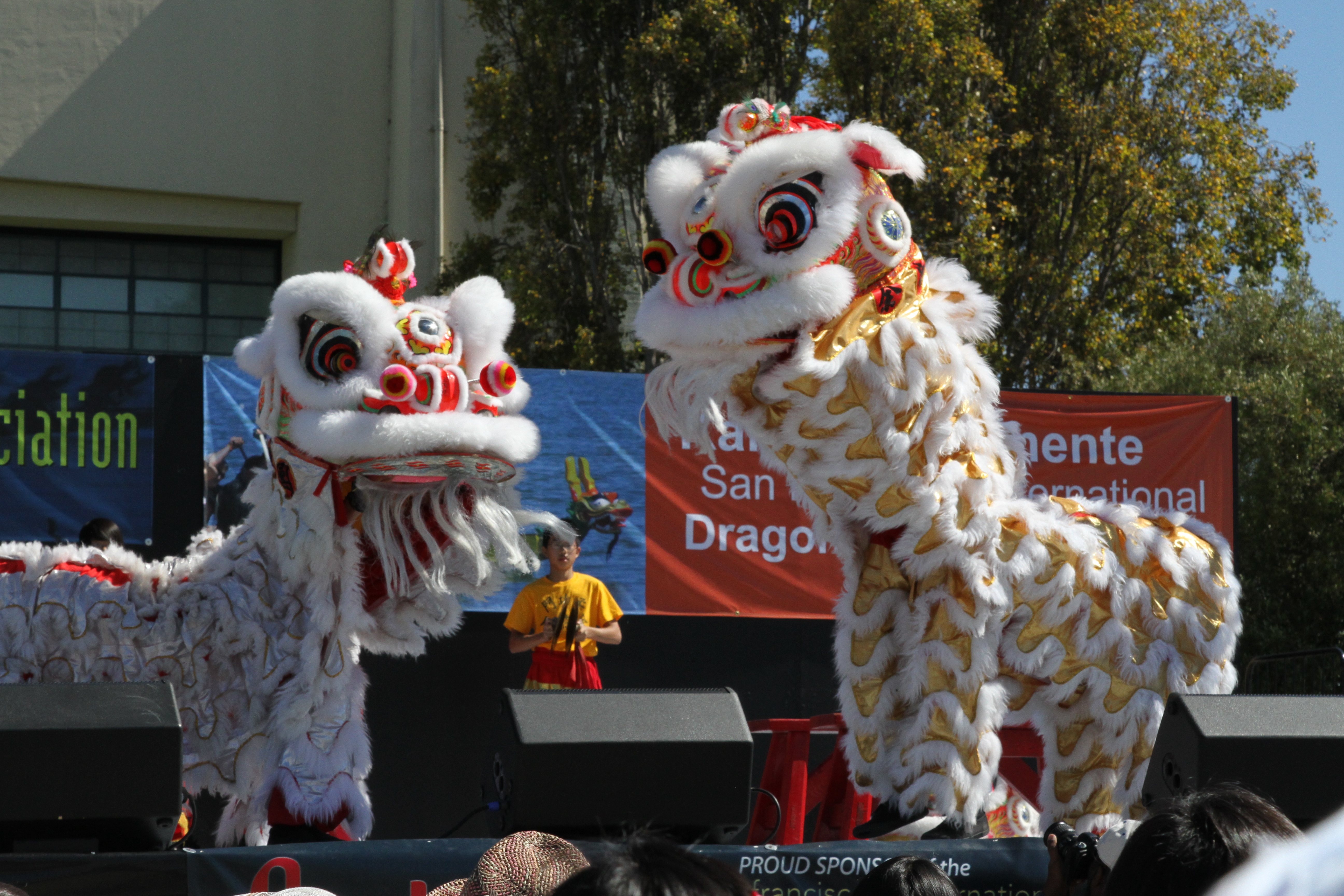 These dragons were awesome