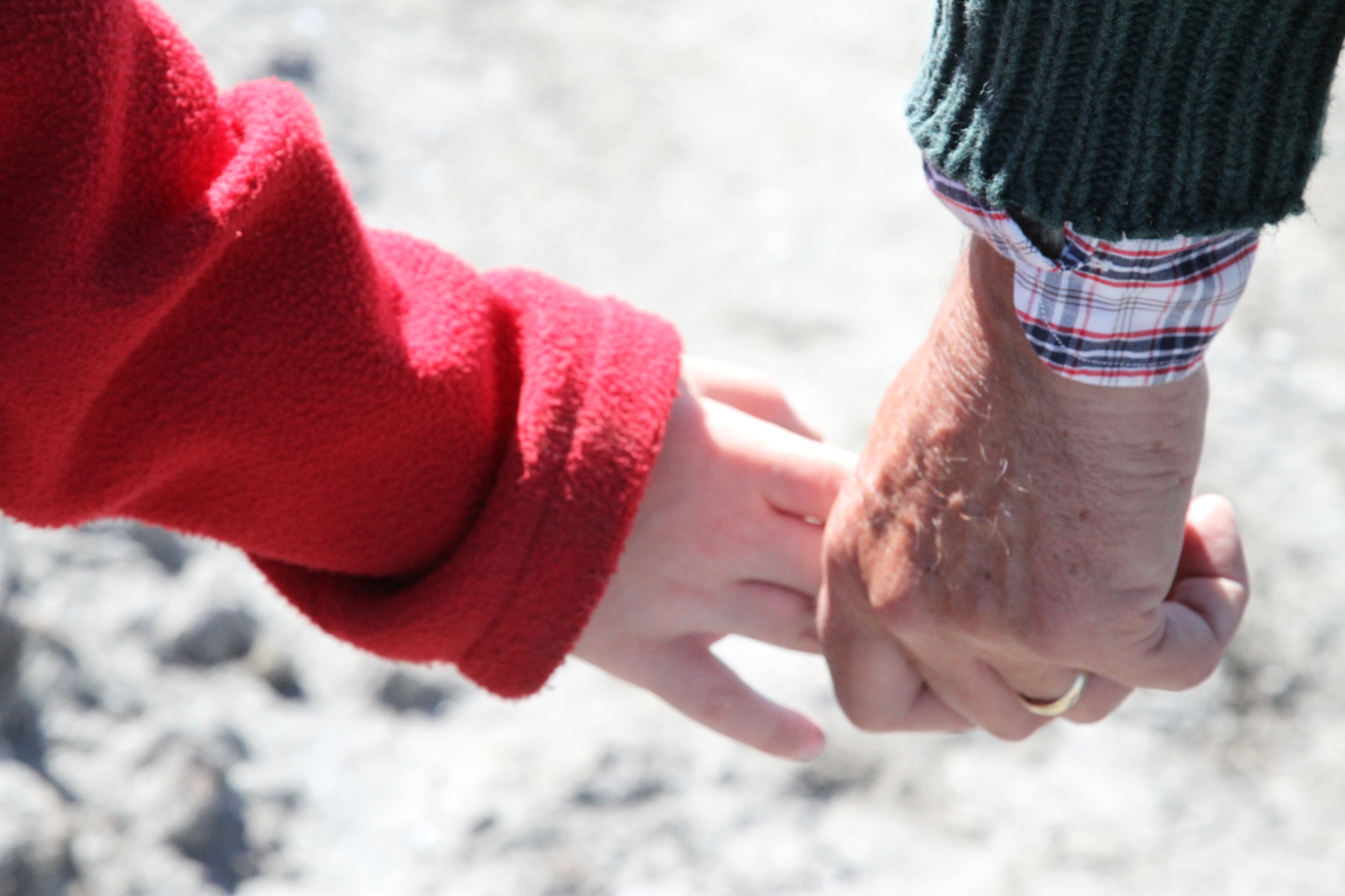 holding Teacher Tim's hand while we hiked.