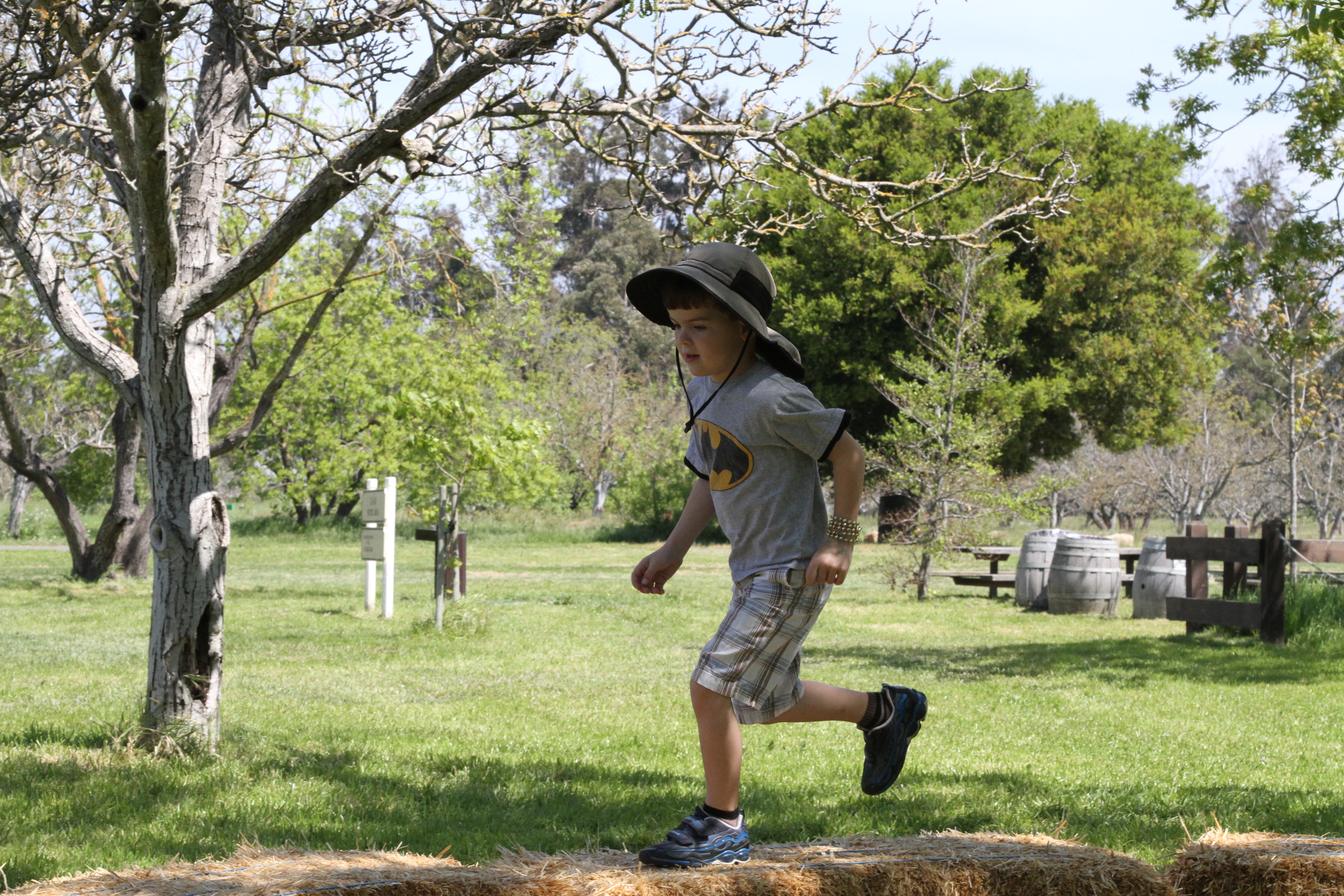 many laps around the hay bale circle,