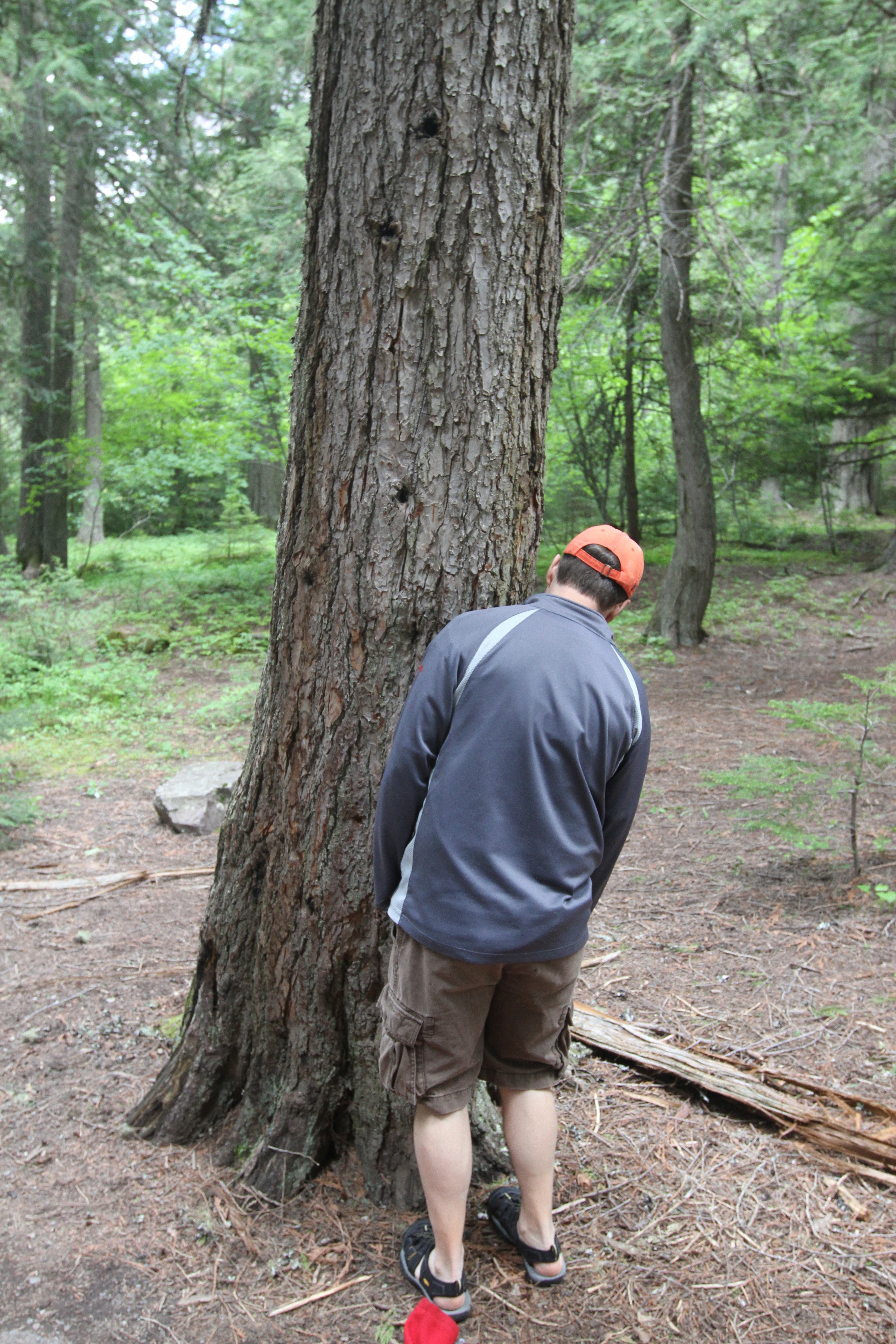 playing hide and seek in the woods