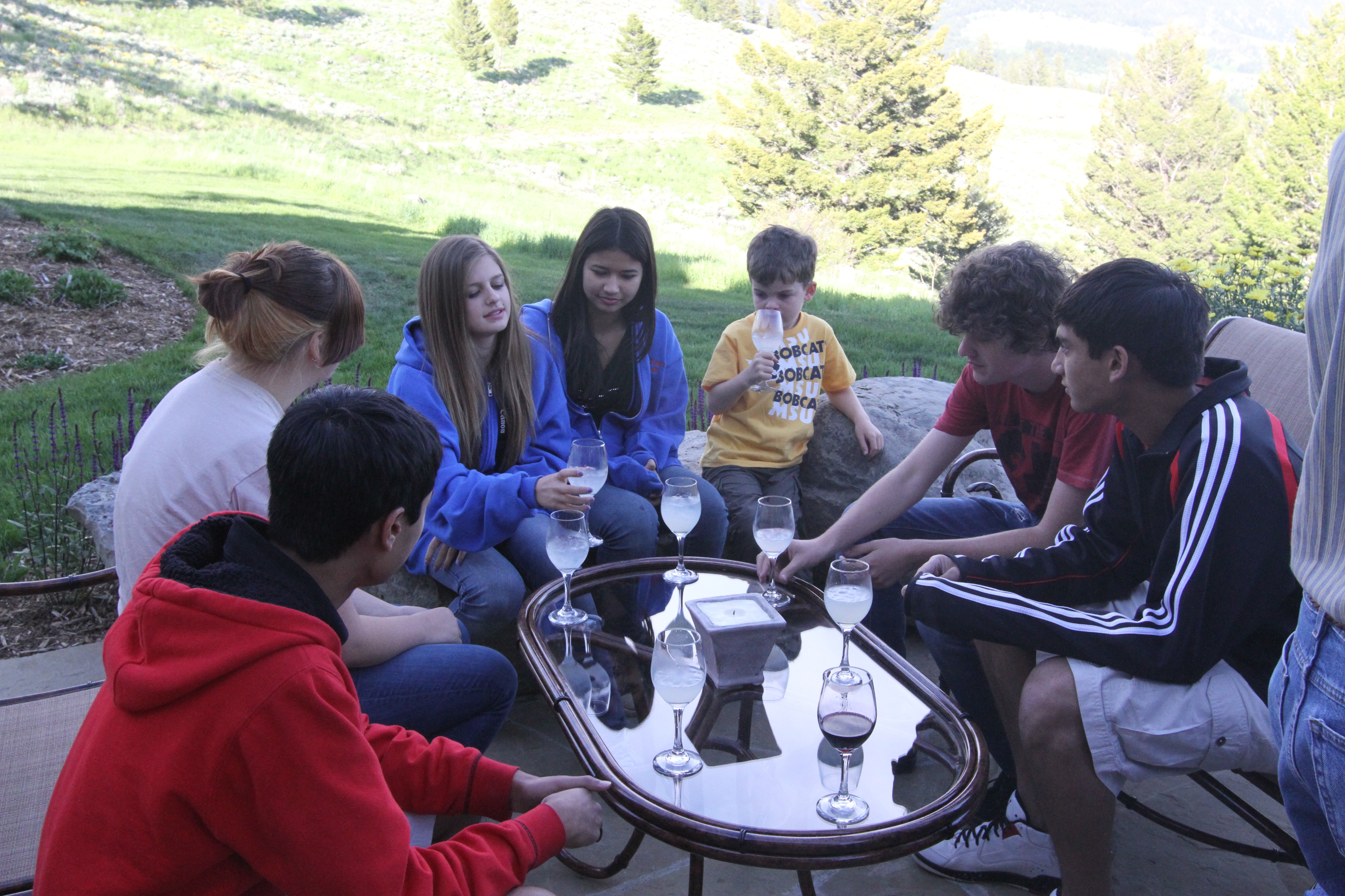 a bunch of 15-17 year olds
