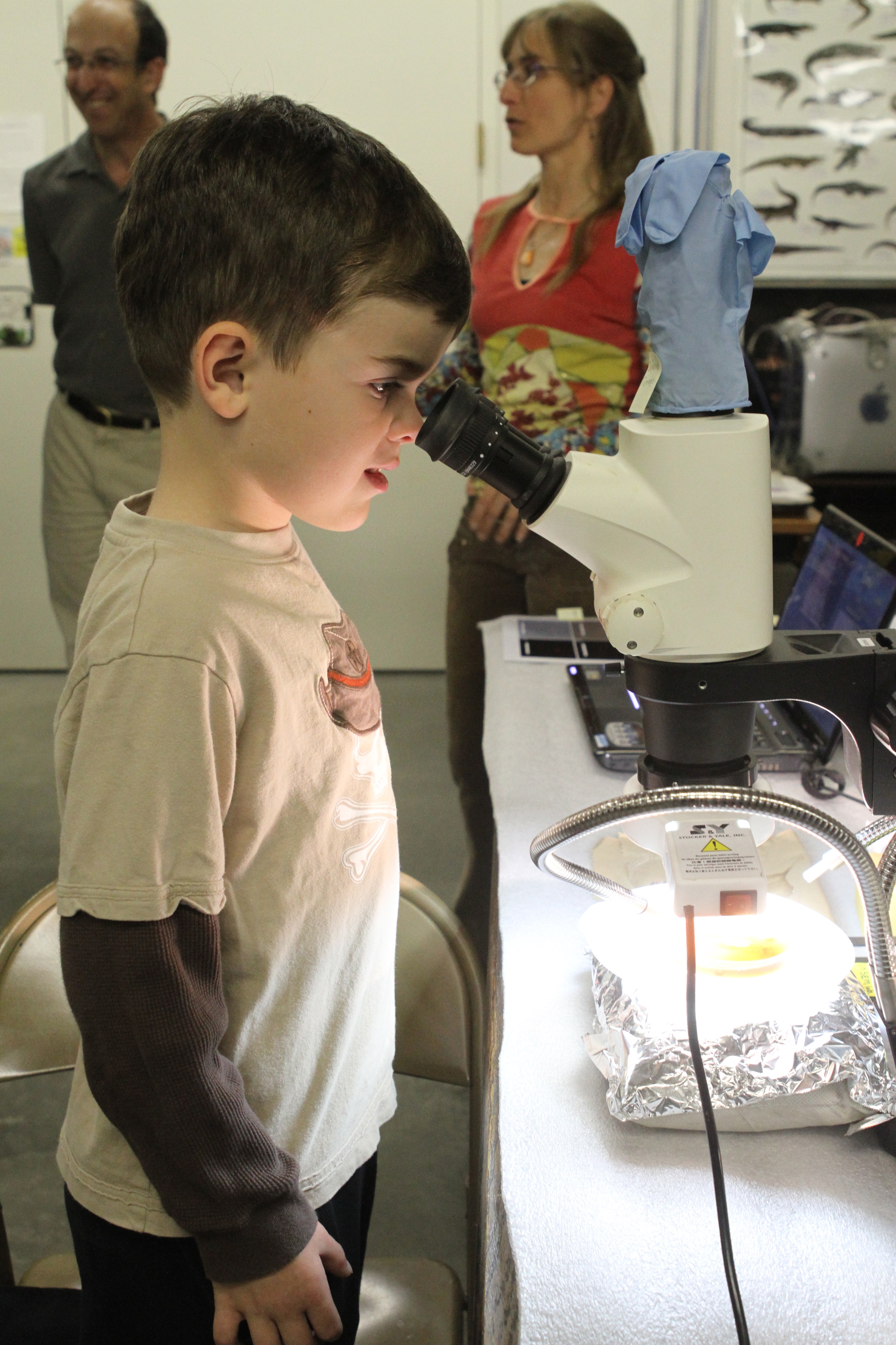 microscope.
