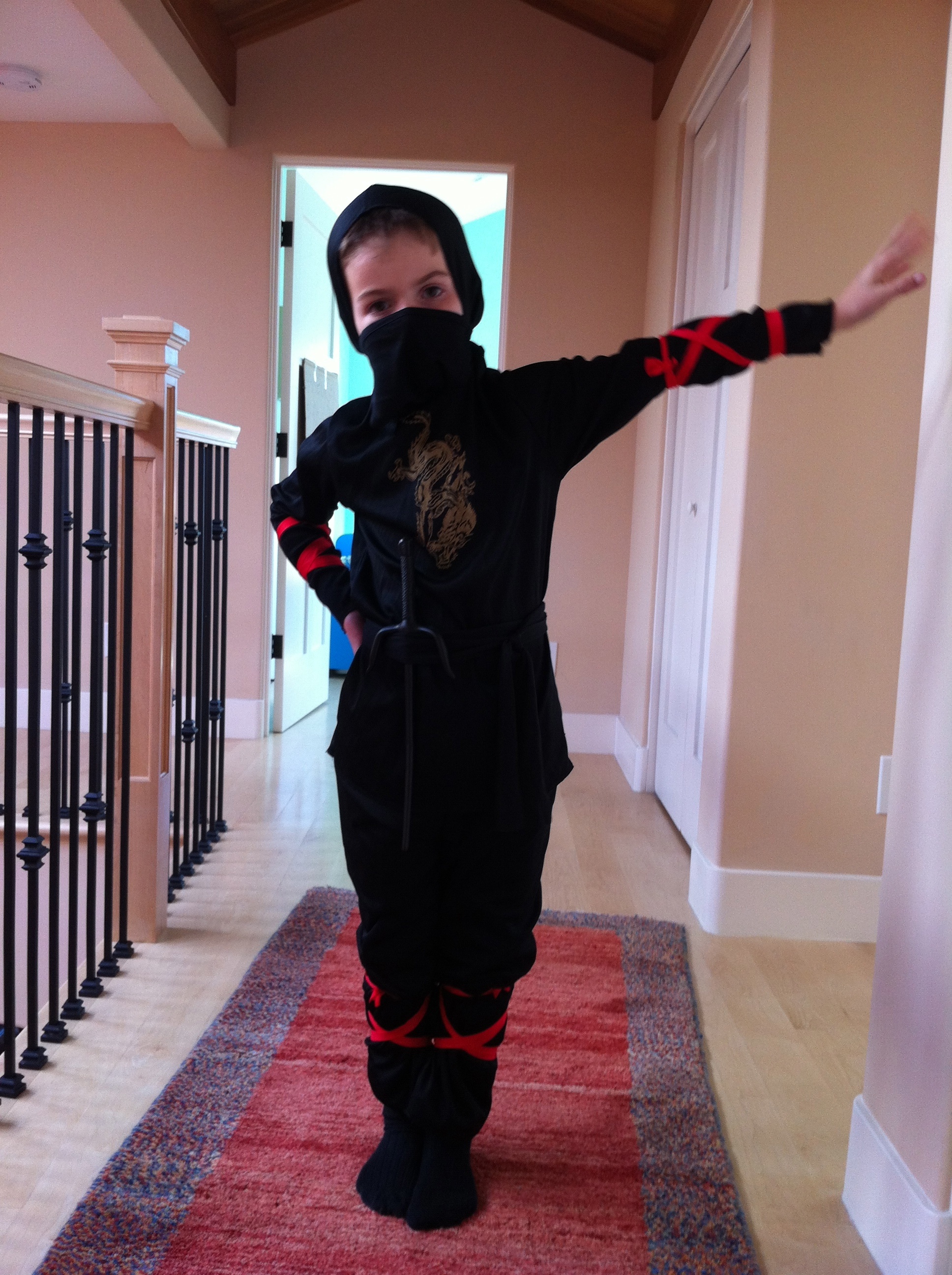 SPL finally settled on a ninja