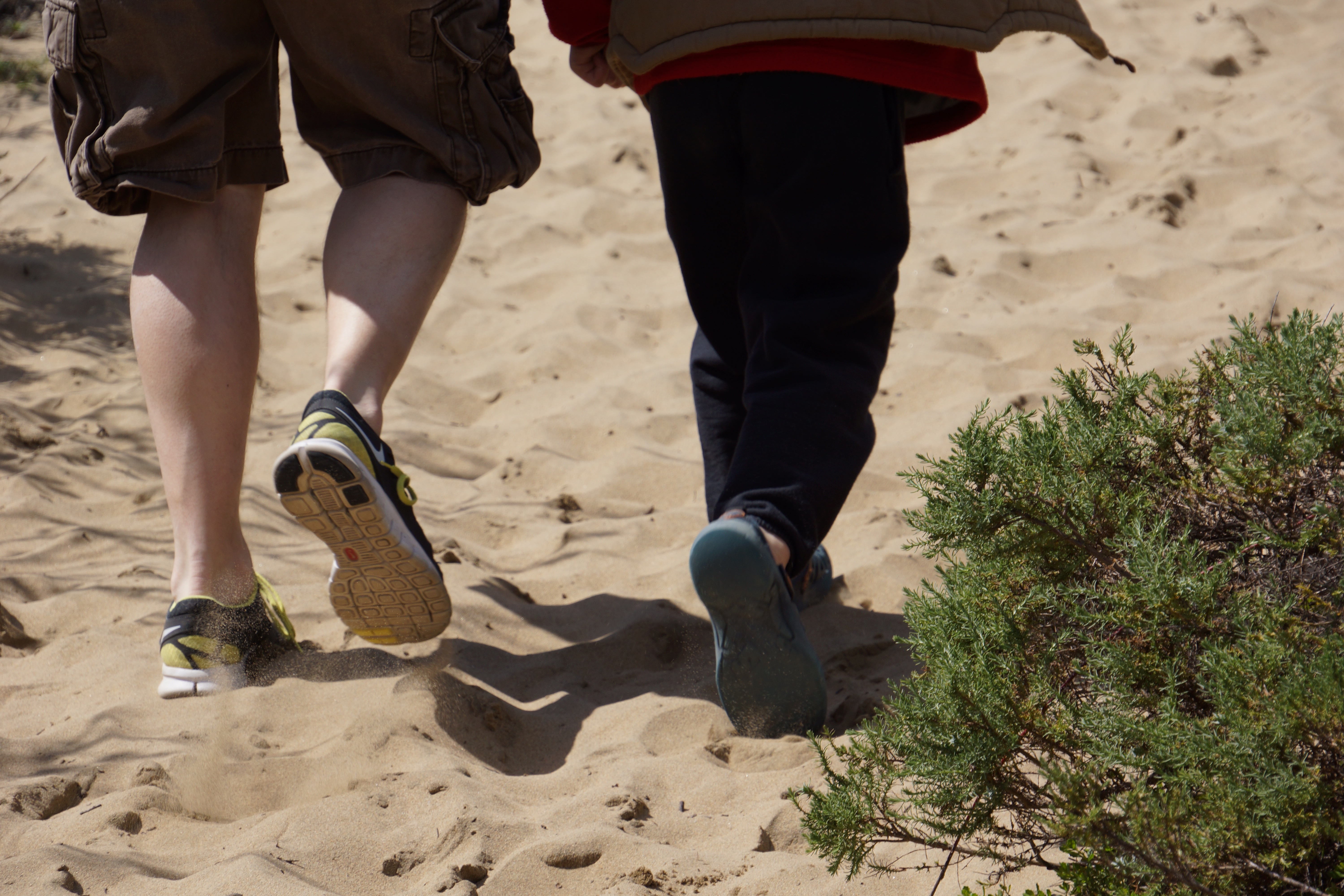 running up the sand dunes