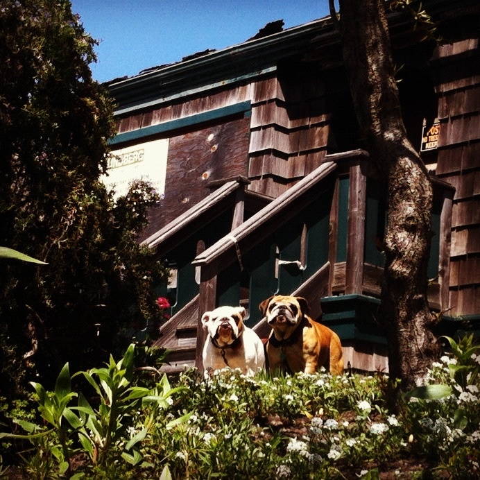 the welcoming committee