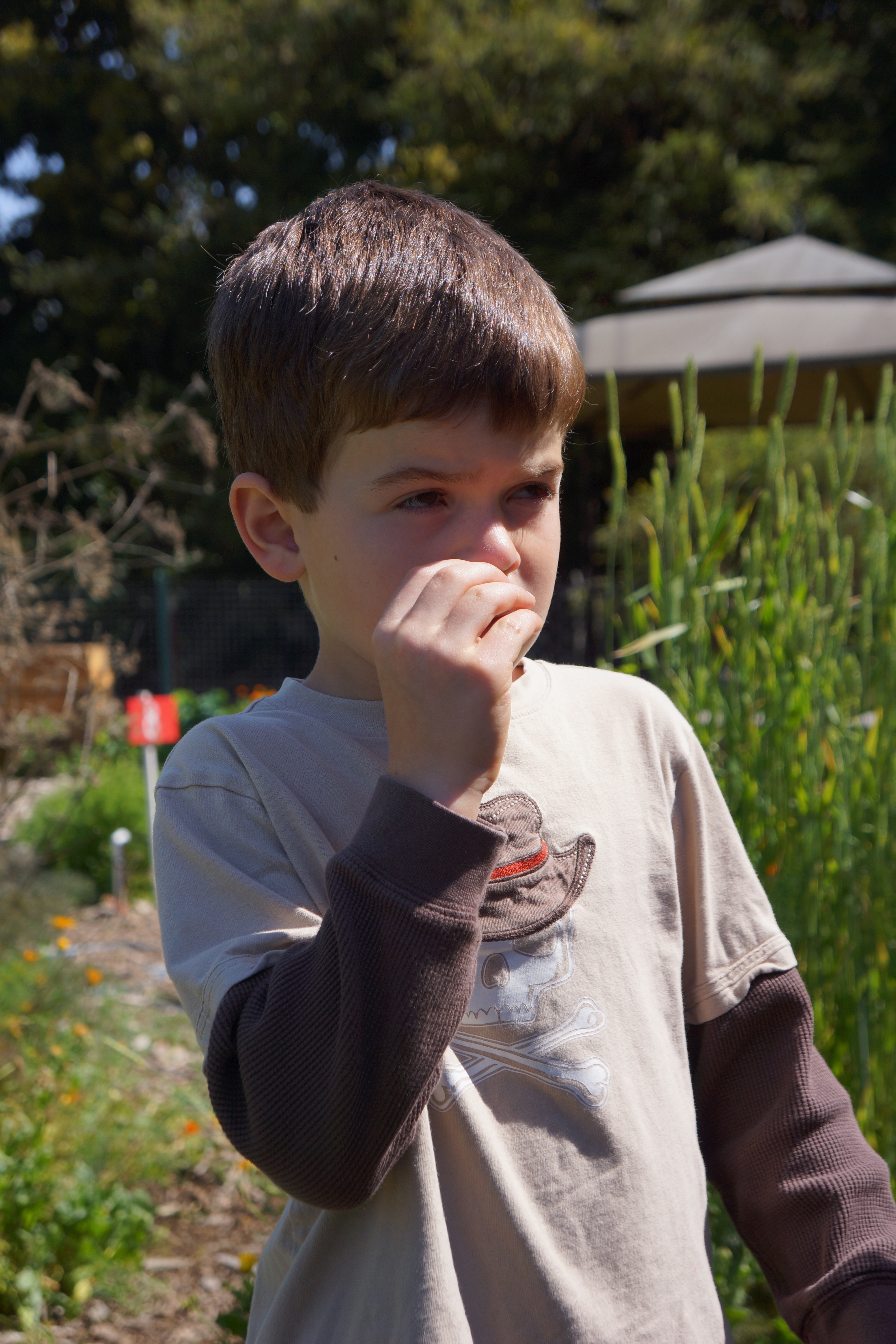 using their senses